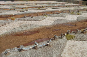 DSCN4938.JPG